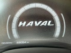 2021 Haval Chitu 2021 1.5T AT ProvokingEdition golden rabbit #9