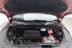 2022 BYD Tang PHEV 2021 2.0T AT DM4WDPerformancePremium #7