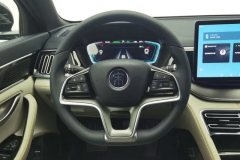 2022 BYD Song Plus PHEV 2021 1.5L AT DM-i 51KM Honor #15