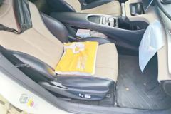 2024 BYD Dolphin 2024 Glory 420km Fashion #8