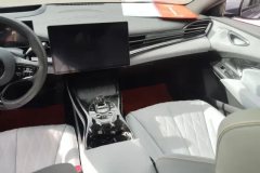 2022 BYD Seal 2022 700km AT Long RangeRWDEdition #13