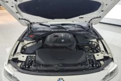 2019 BMW 3 Series 2019 2.0T AT 320i MSport Pkg #10
