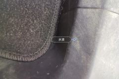 Right Rear Carpet