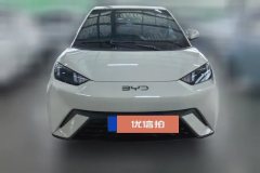 2024 BYD Seagull 2024 Glory 305KM freeEdition #2