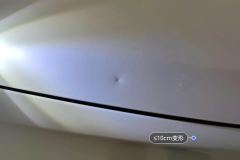 Engine Hood