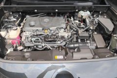 2020 Toyota Wildlander 2020 2.5 AT HybridLuxury FWD HEV #10
