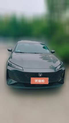 2023 Chang'an Yida 2023 Blue WhaleNE 1.5T GDI AT DCTPilot #2