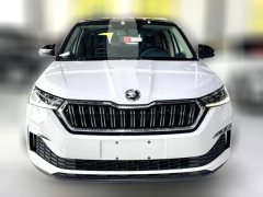 2023 Škoda Kamiq 2022 GT 1.5L AT EnjoyEdition #2