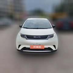2024 BYD Dolphin 2023 420km freeEdition #2
