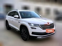 2020 Škoda Kodiaq 2020 2.0T AT TSI330 5Seat2WDLuxuryPremium #3