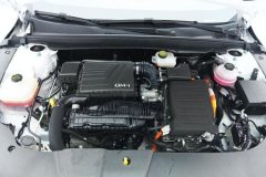 2024 BYD Destroyer 05 2024 Glory 1.5L AT DM-i 55KM Luxury #10