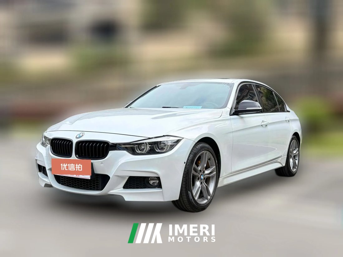 2019 BMW 3 Series 2019 2.0T AT 320Li MSportYaoyeEdition