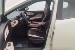 2023 BYD Seagull 2023 freeEdition #13