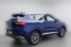 2020 Haval H6 2020 1.5T AT PlatinumChampion #2