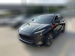 2022 Dongfeng Fengxing Fengxing T5 Evo 2021 1.5T AT DCTdiamondEdition #1