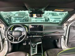 2021 Haval Chitu 2021 1.5T AT ProvokingEdition golden rabbit #6