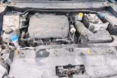 2021 Haval Chitu 2021 1.5T AT ProvokingEdition golden rabbit #10