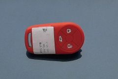 2024 Ora Good Cat 2024 401km Luxury #10