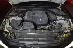 2021 BMW 3 Series 2022 2.0T AT 325Li MSport Pkg #10