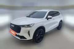 2023 Haval H6 2021 2.0T AT No.3generation2WDMax #1