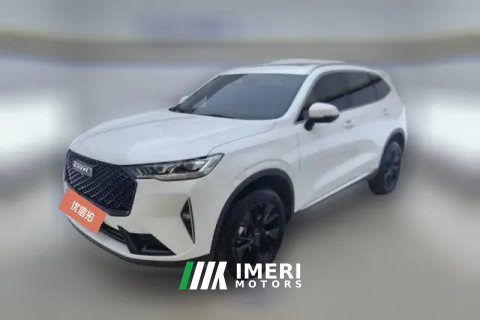 2023 Haval H6 2021 2.0T AT No.3generation2WDMax