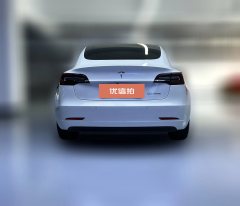 2020 Tesla Model 3 2020 Long Rangerear wheel driveEdition EV #11