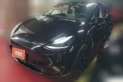 2021 Tesla Model Y 2021StandardBattery lifeRWDEdition #1