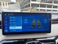 2023 Haval Chitu 2021 1.5T AT ProvokingEdition Platinumrabbit #12