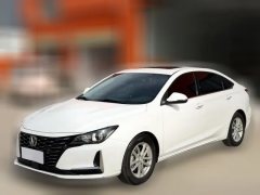 2021 Chang'an Ruicheng CC 2022 AT Blue WhaleEdition 1.5T DCTPremium #1