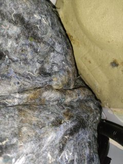 Left Rear Carpet (with Trim)