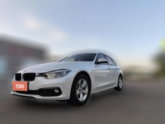 2016 BMW 3 Series 2015 1.6T AT 316iEntry #1