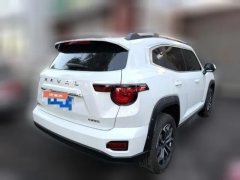 2025 Haval Big Dog Plus 2023 2.0T AT 2WDShionoEditionPlus #8