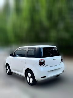 2023 Chang'an Qiyuan Chang'an Lumin 2022 210km sweet #4