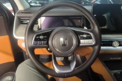 2024 Tank 500 PHEV 2024 Hi4-T 2.0T AT #15