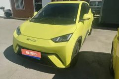 2024 BYD Seagull 2023 vitalityEdition #1