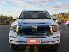 2025 Tank 500 New Energy 2024 Hi4-T 2.0T AT #8