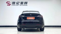 2024 Tesla Model Y 2023 rear wheel driveEdition #11