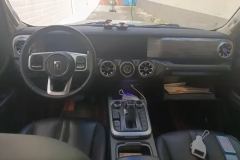 2021 Tank 300 2021 Off-road 2.0TAT conqueror #12