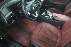 2021 BMW 5 Series 2021 2.0T AT 530LiLeadingLuxury Pkg #9