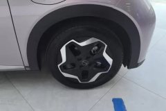 2022 BYD Dolphin 2021 405km Fashion #6