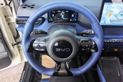 2024 BYD Seagull 2024 Glory 305KM freeEdition #15