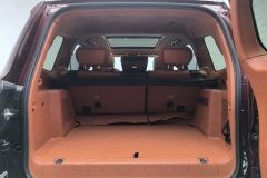 2022 Tank 500 2022 3.0T AT high-endCustom 5Seat #20