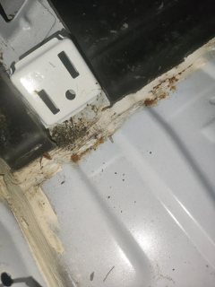Left Front Floor Sound Seal