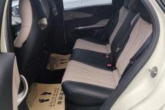 2023 BYD Dolphin 2021 405km Fashion #11