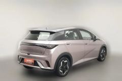 2022 BYD Dolphin 2021 405km Fashion #2