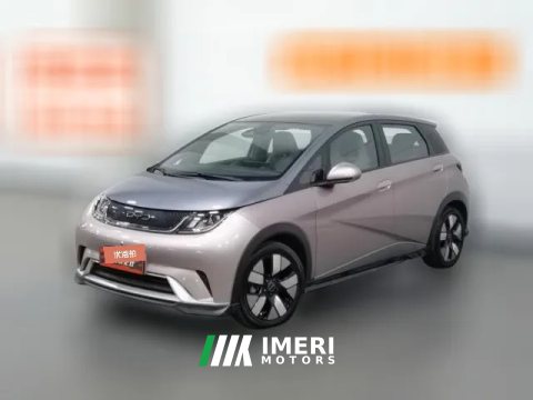 2022 BYD Dolphin 2021 401km knightEdition