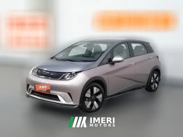 2022 BYD Dolphin 2021 401km knightEdition