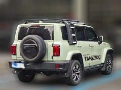 2022 Tank 300 2021 CityEdition 2.0T AT Very #4
