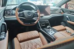 2020 BYD Tang PHEV 2021 2.0T AT DM 4WDHigh PerformanceCreationFlagship #12