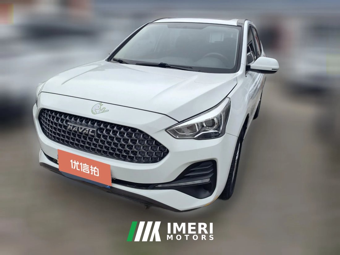 2020 Haval M6 2019 1.5T AT DCTElite China VI
